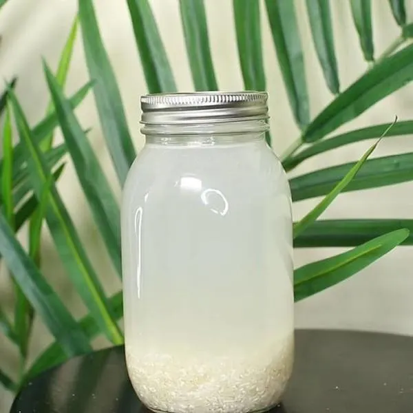 Has anyone used rice water to water their houseplants
