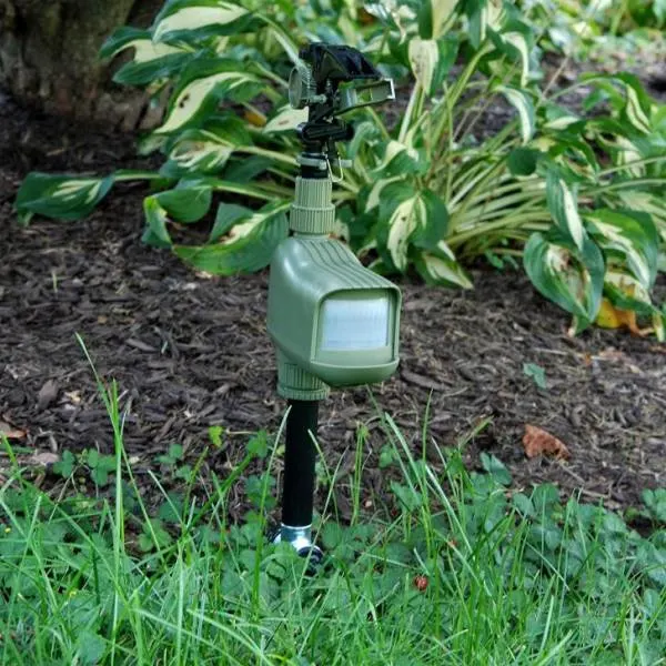 How to Protect Growing Pumpkins from Animals Havahart 5277 Critter Ridder Motion Activated Animal Repellent and Sprinkler