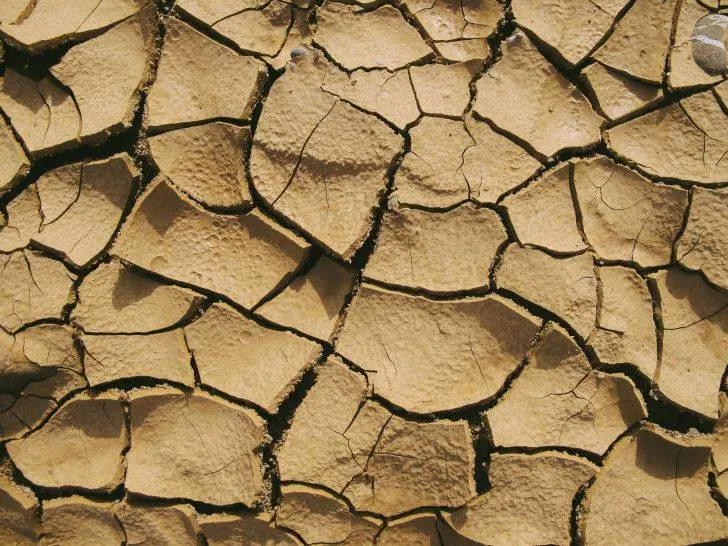 Large cracks in clay soil.