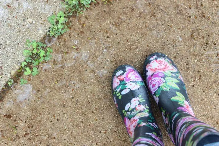 Pair of black and multicolored floral boots photo Garden Boots Vs. Rain Boots