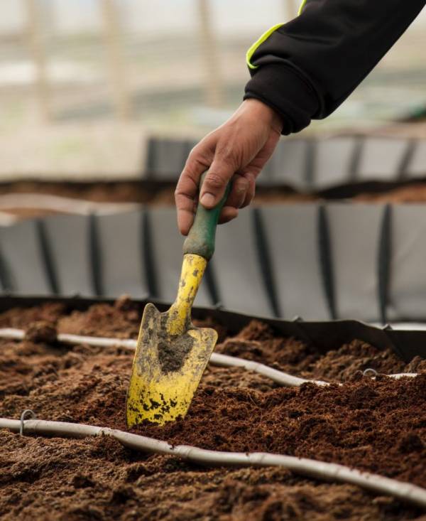 Person holding yellow trowel—how to fix anaerobic soil
