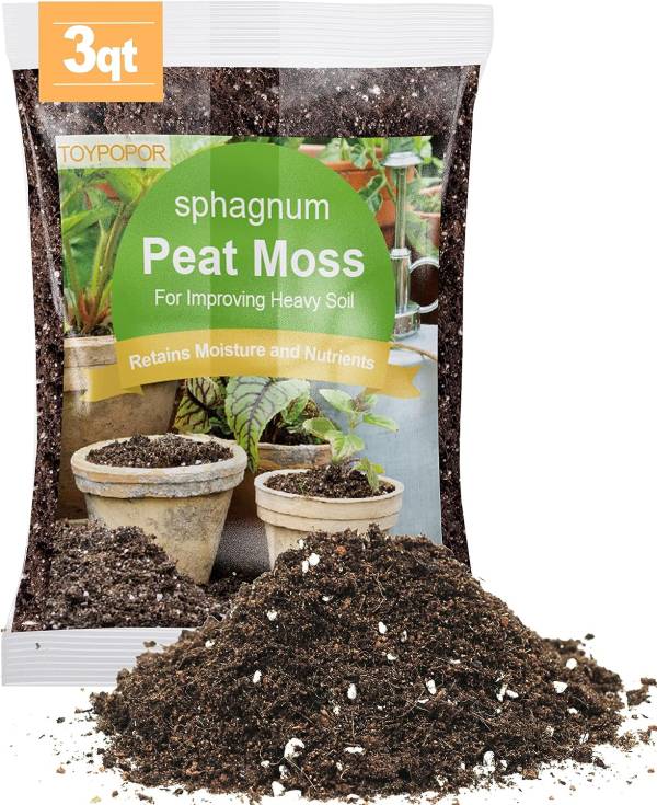Sphagnum Peat Moss Best Soil for Monstera