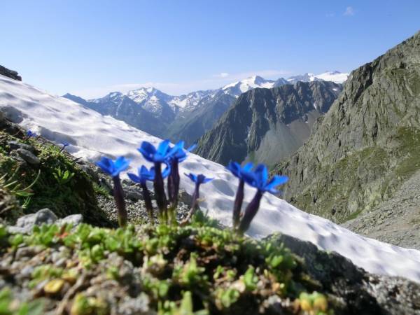The Stubai High altitude Trail Bassler Yoke Alpine