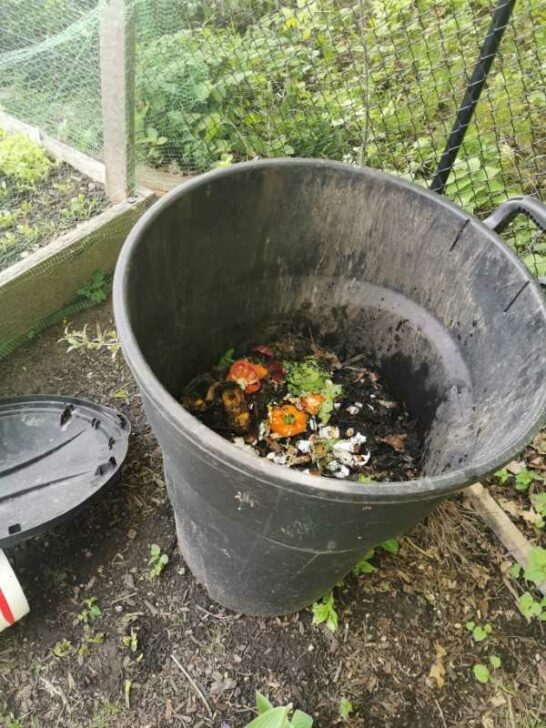 Why Is My Compost Not Getting Hot? (3 Main Reasons)