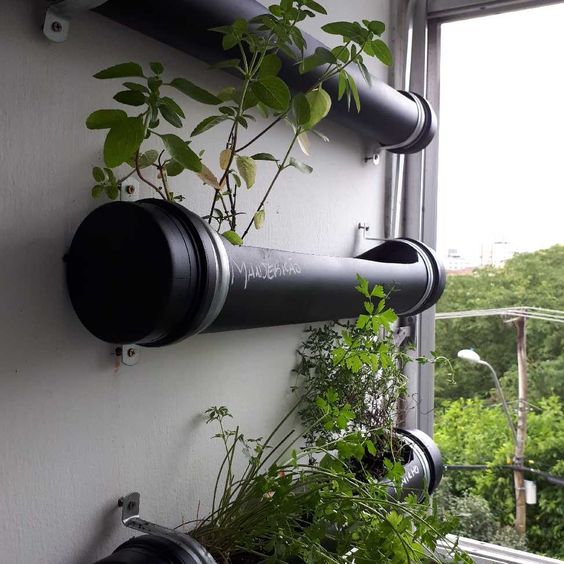 Indoor Gutter Garden Ideas