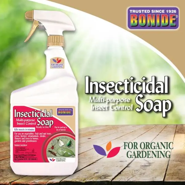 Bonide Insecticidal Soap 32 oz Ready to Use Spray Multi Purpose Insect Control for Organic Gardening Indoor and Outdoor