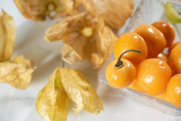 Why Are Golden Berries Sticky? Growgardener Weblog!