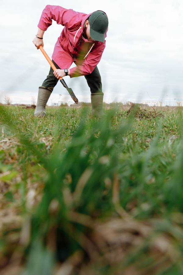 person cultivating on a grassfield