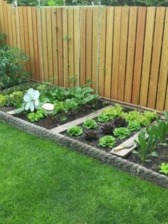 Unique Ideas for Your Veggie Garden Creative Raised Bed Gardening Designs