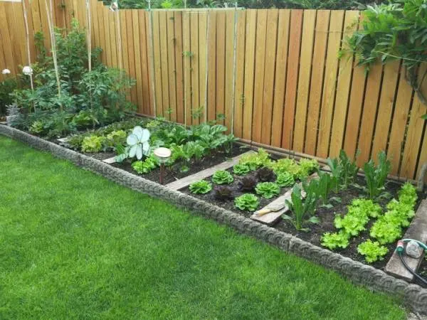 Unique Ideas for Your Veggie Garden Creative Raised Bed Gardening Designs