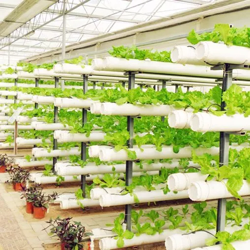 Unique Ideas for Your Veggie Garden Hydroponics Channel Grow