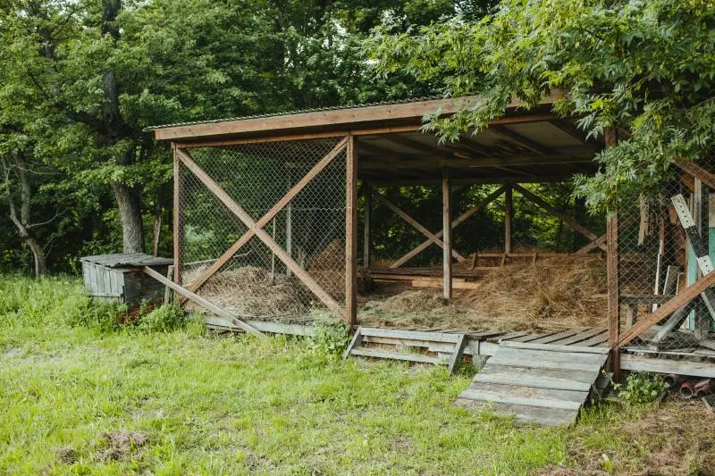 Vertical Gardening with Coop Enclosure Chicken Coop and Garden Layout